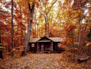 cabin in the woods surrounded by orange fall leaves