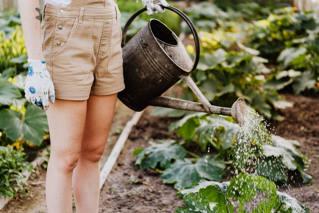 woman watering plants with a watering can